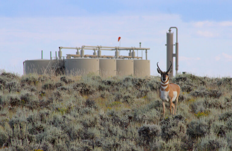 Wyoming's ‘Path of the Pronghorn' is a signature away from protections sought for a quarter century